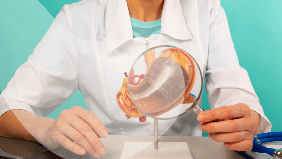 The Gut-Brain Connection