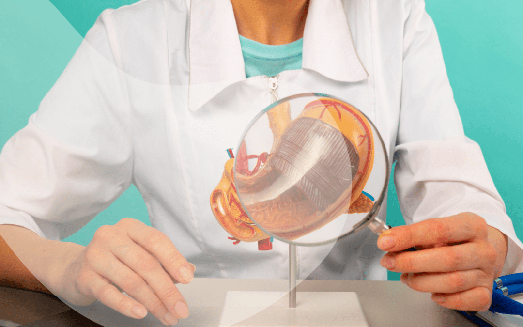 The Gut-Brain Connection