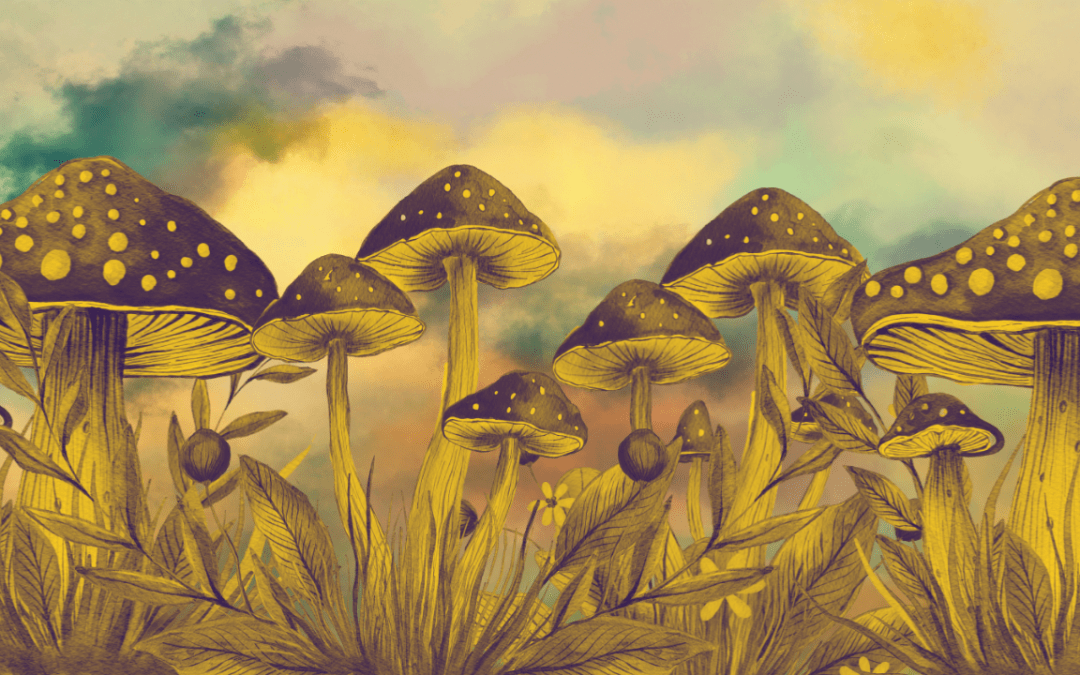 Psilocybin: The Potential Therapeutic Benefits