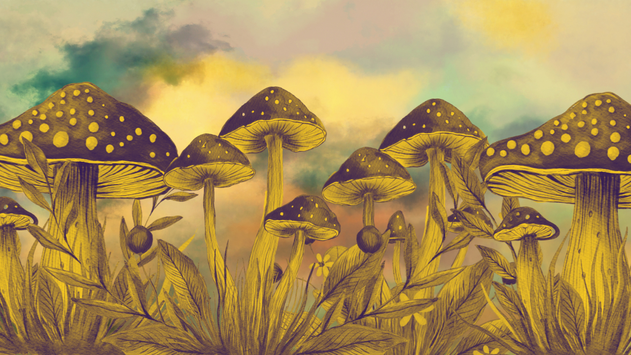 Untitled design-311 The Therapeutic Potential of Psilocybin