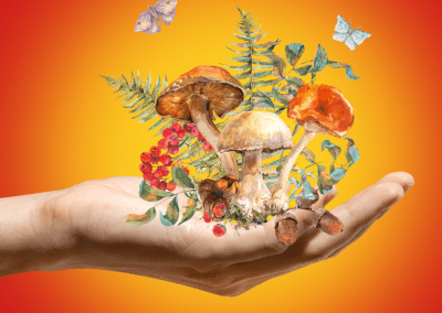 Psychedelic Therapy Research: The Potential to Transform Mental Health Care