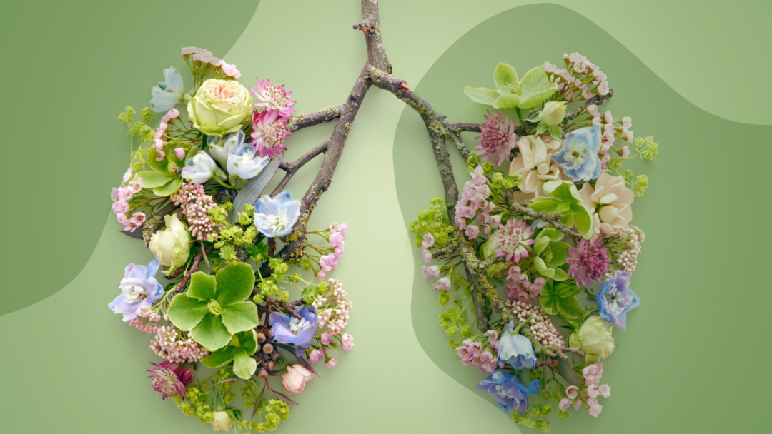 What Is Holotropic Breathwork? Inner Potential for Self-Discovery and Healing