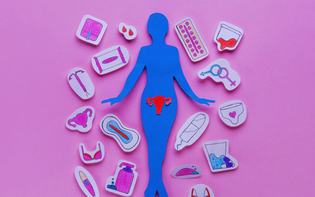 Menstrual Cycle Phases: Essential Strategies to Optimize Hormones for Daily Performance