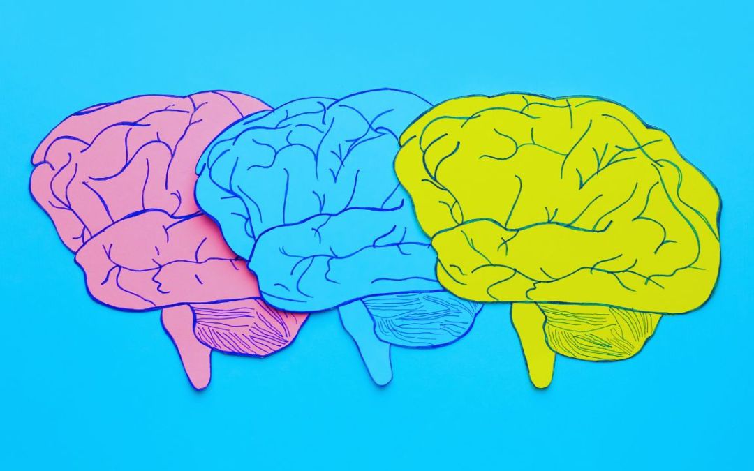 How to Improve Memory Holistically: Enhancing Your Brain