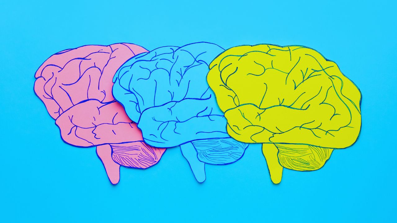 Enhance Your Brain: How to Improve Memory with Holistically