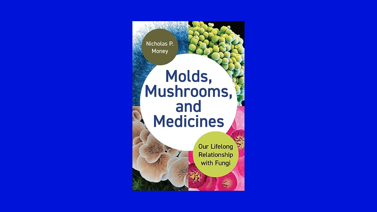 Molds, Mushrooms, and Medicines: Our Lifelong Relationship with Fungi