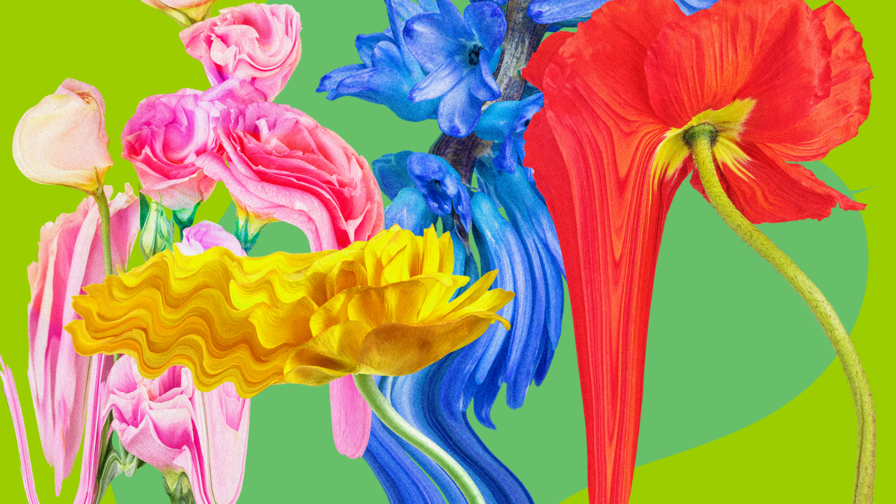 Manifestation Techniques: How to Be the Creator of Your Reality