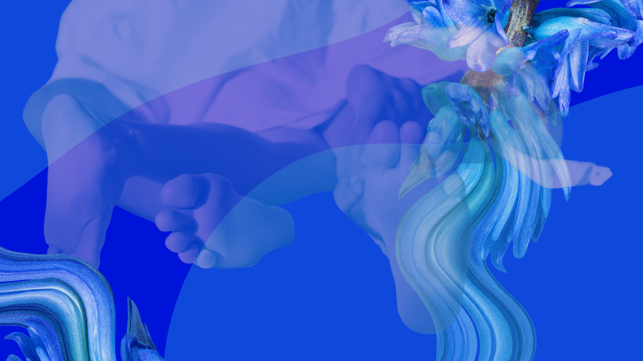 what are sex hormones