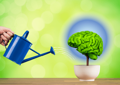 Alzheimer’s and the Gut Connection