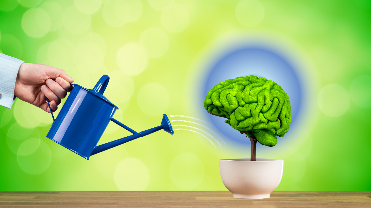 Untitled design-344 alzheimer's