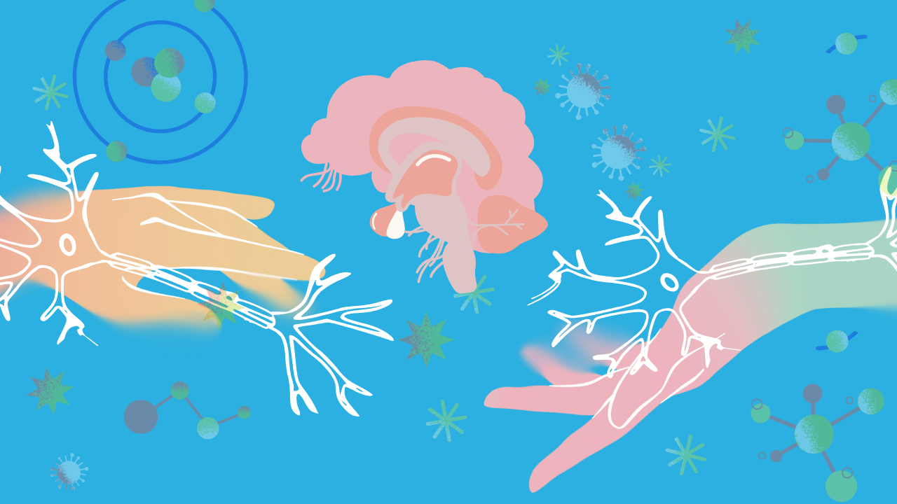 How to Supercharge Your Cognitive Performance With Nootropics