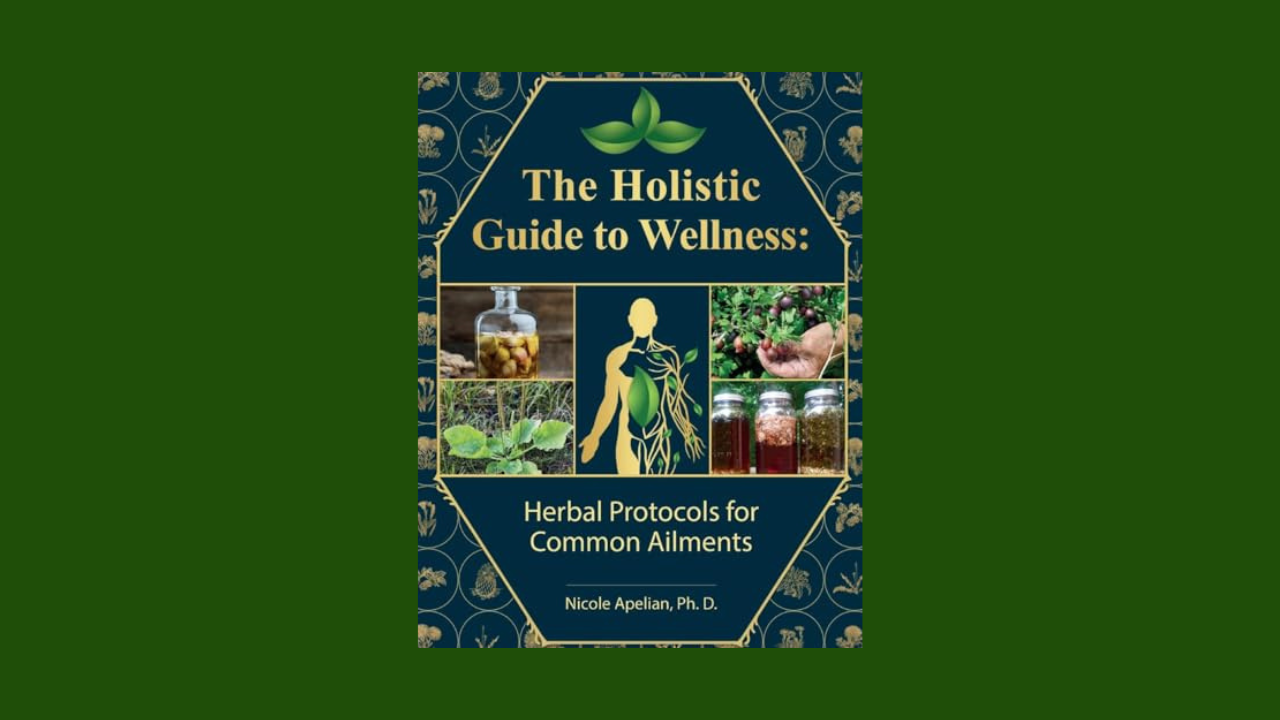 The Holistic Guide to Wellness : Herbal Protocols for Common Ailments