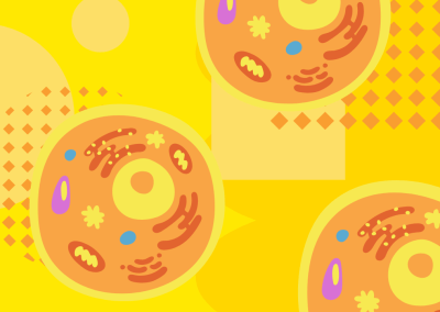 How to Improve Mitochondrial Function: Strategies for Peak Energy