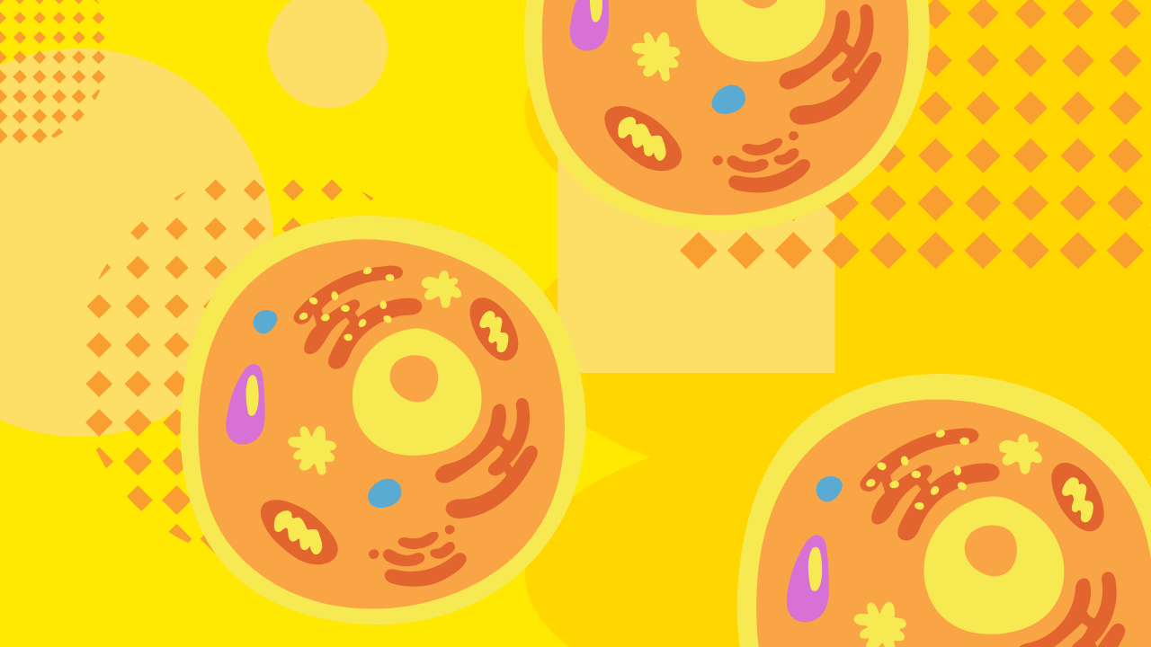 how to improve mitochondrial function