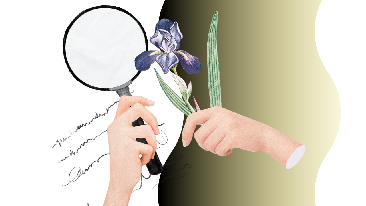 Untitled design-377 how to improve focus